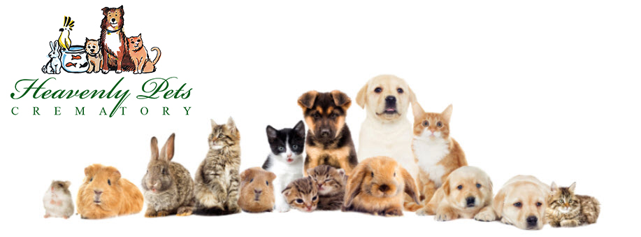Heavenly Pets Crematory | Cheyenne, WY
